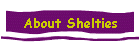 About Shelties