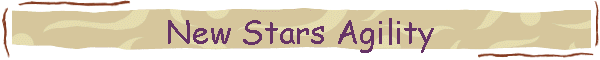 New Stars Agility