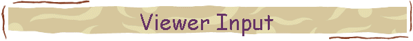 Viewer Input
