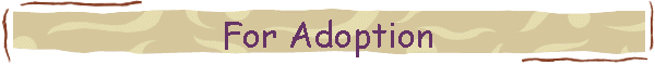 For Adoption
