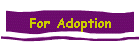 For Adoption